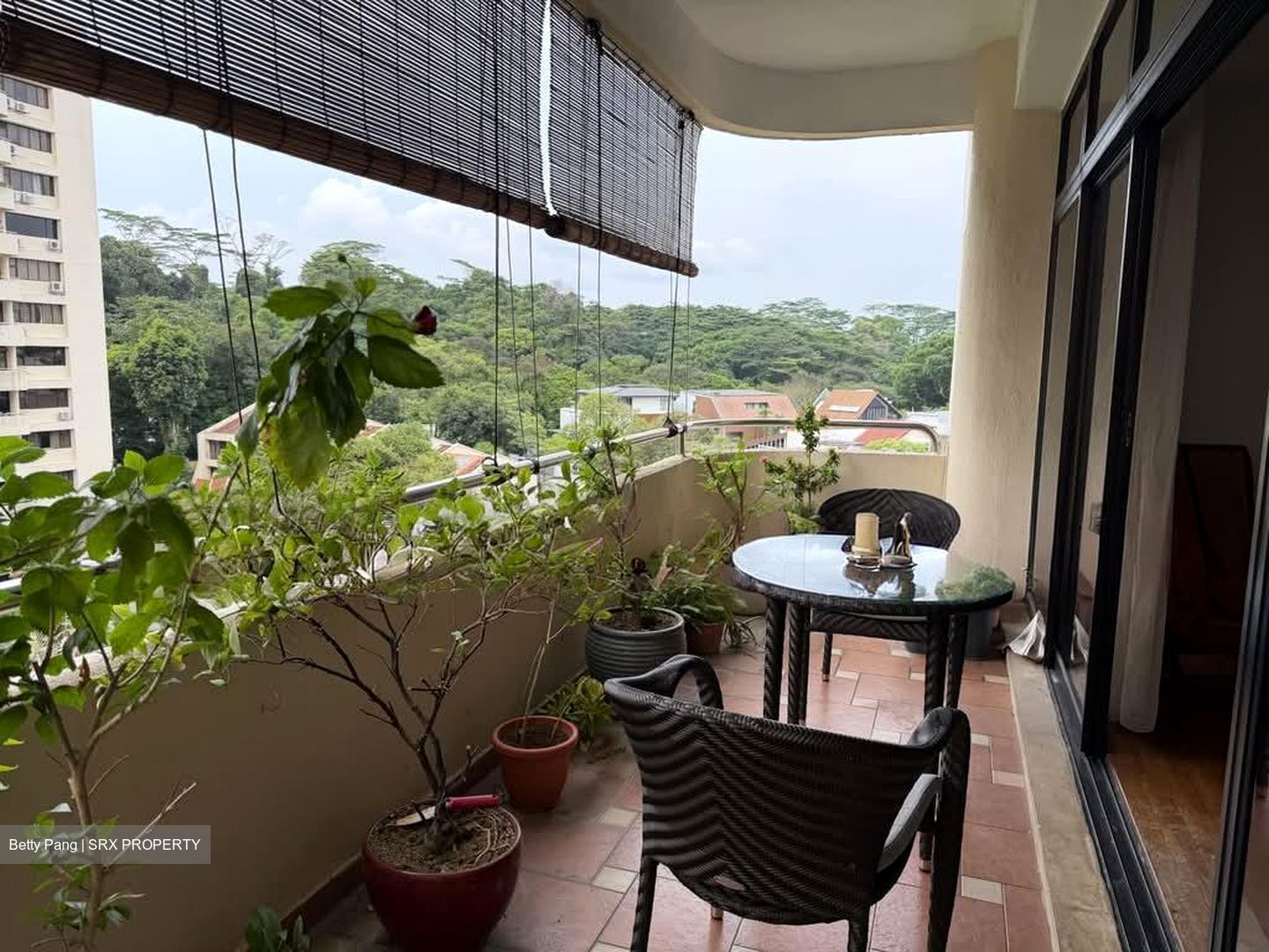 Allsworth Park (D10), Condominium #598180611